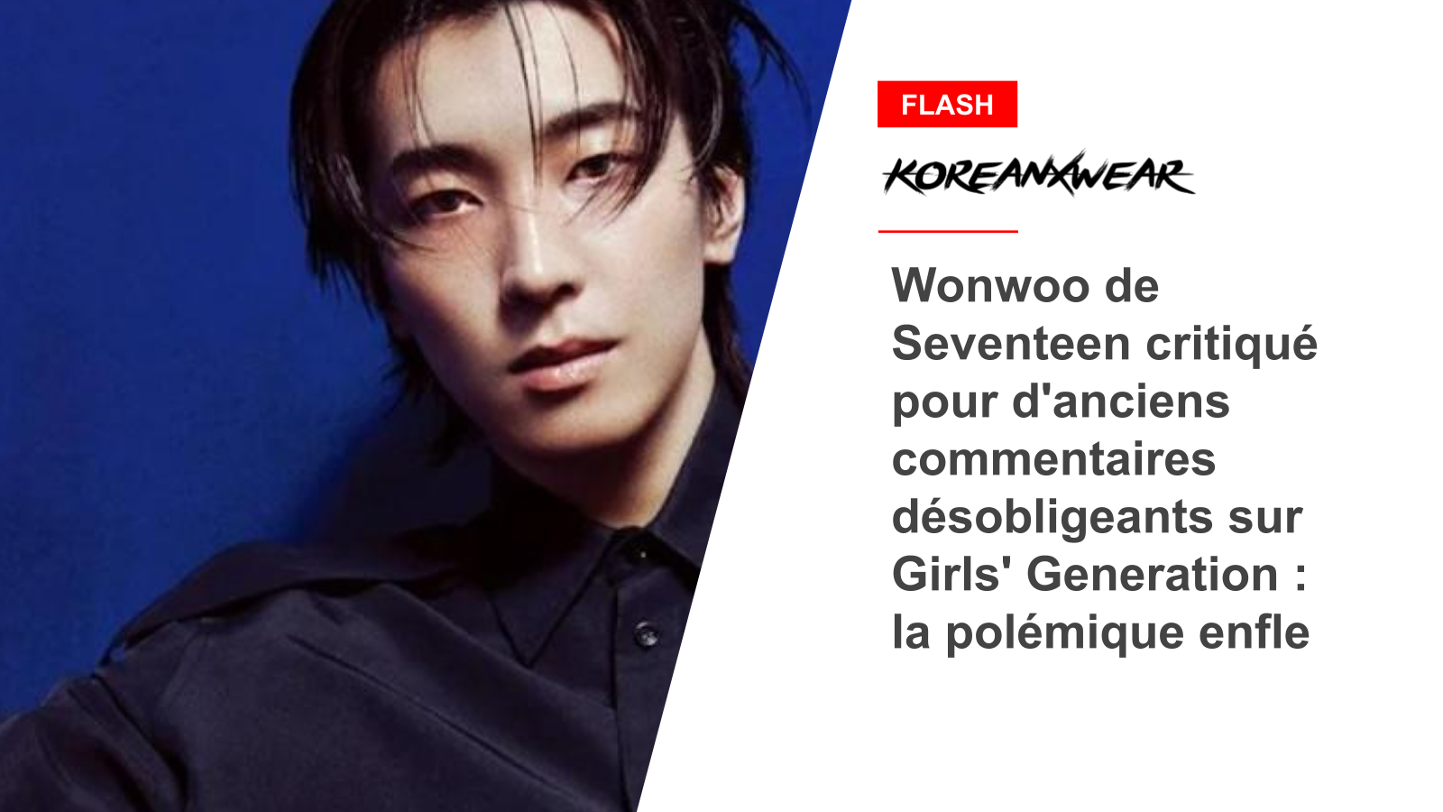 Seventeen's Wonwoo Criticized for Past Derogatory Comments on Girls' Generation: Controversy Grows
