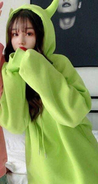 Hoodie Coréen Dragon Vert