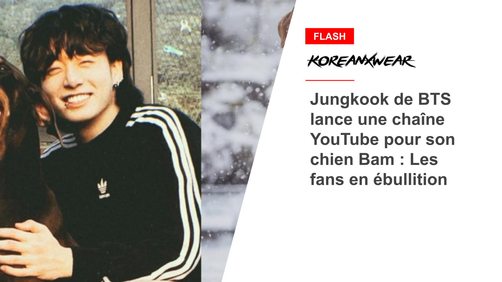 Jungkook de BTS lance une chaîne YouTube pour son chien Bam : Les fans en ébullition