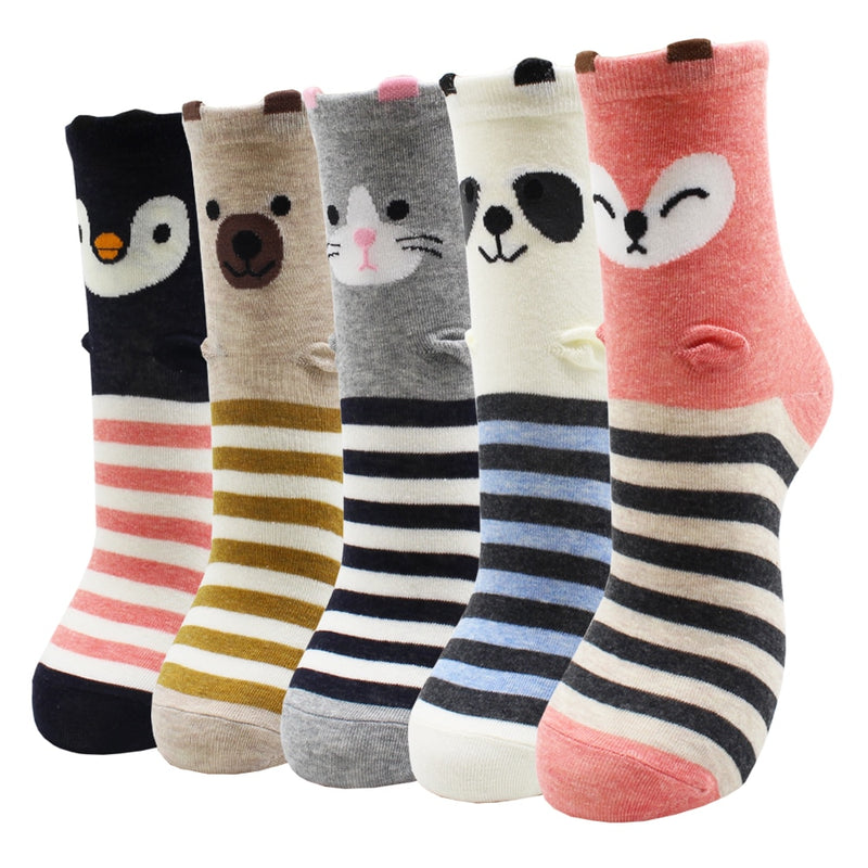 Lot de 5 paires de chaussettes amusantes - KoreanxWear